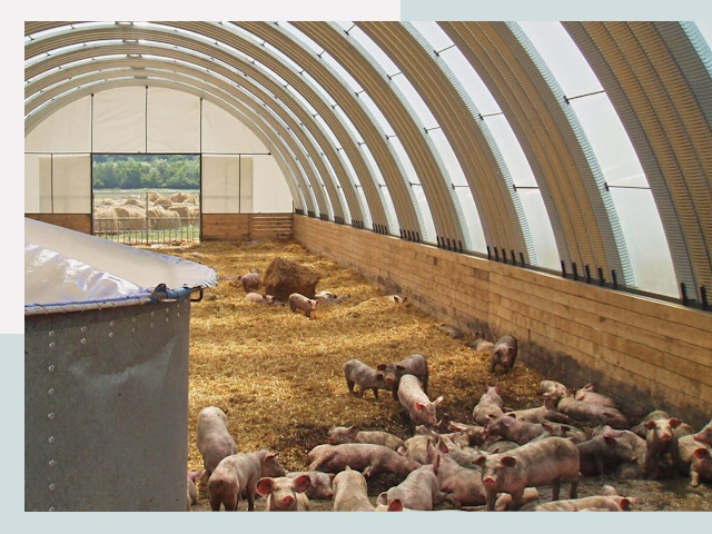 Строительство свинарников в Кимовске