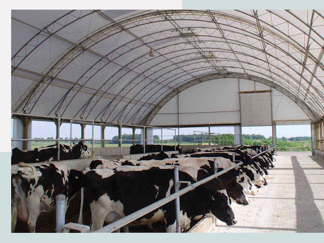 Тентовые коровники в Кимовске